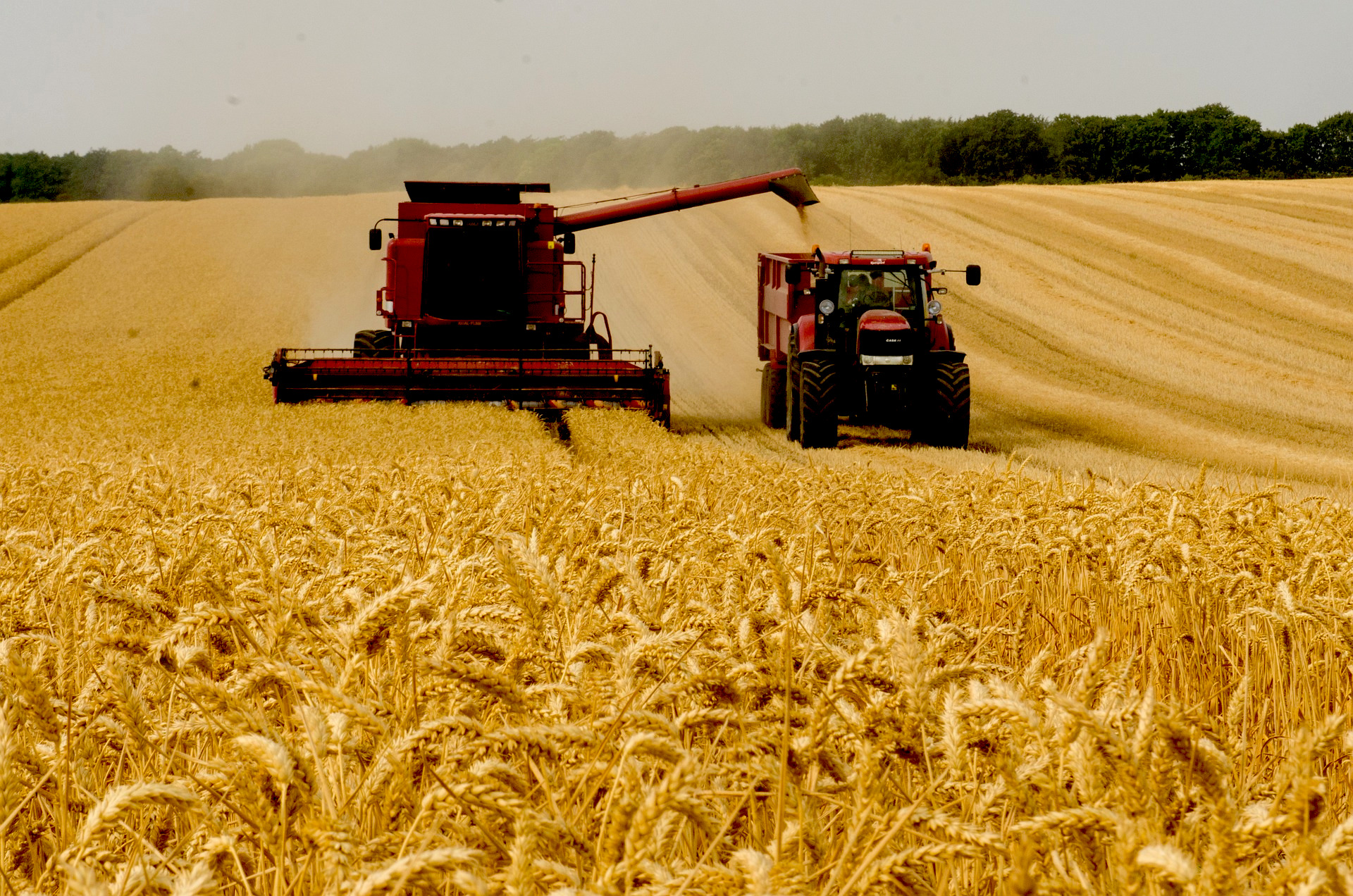 Australian broadacre harvesting where saved AB lines and paddock boundaries are reused between machines